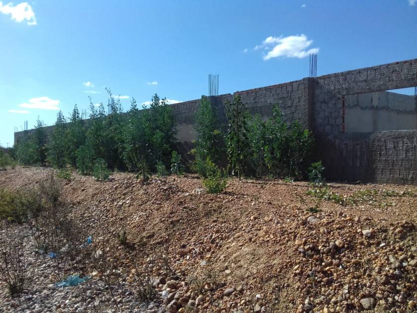 WhatsApp Image 2019-11-01 at 16.12.50 (1)